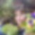 Photo de profil de Christine Caunes