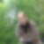Photo de profil de Benoit Bayle