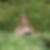 Photo de profil de Laure Tourneux