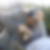 Photo de profil de Aurore Petit