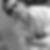 Photo de profil de Peter Collie