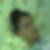 Photo de profil de Lionel Freyss