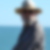 Photo de profil de Alain Plassant