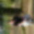 Photo de profil de Sebastien Thomas