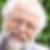Photo de profil de René Vernay