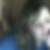 Photo de profil de Annick Loppin