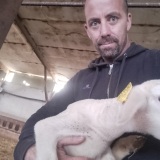 Photo de profil de Vincent Doutrelant