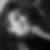 Photo de profil de Lucas Tecles