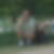 Photo de profil de Franck Diot