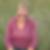 Photo de profil de Jocelyne Lagrange