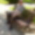 Photo de profil de Patrice Percheron