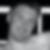 Photo de profil de Patrick Prigent