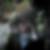 Photo de profil de Timothée Gleize