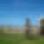 Photo de profil de Dany Andriamahefa
