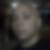 Photo de profil de Samuel Thiburce