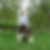 Photo de profil de Bernard Bailly