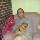 Photo de profil de Cabaret Franck
