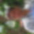 Photo de profil de Mickael Segonne