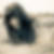 Photo de profil de Noriya Bouguelaa
