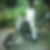 Photo de profil de Pascal Guilmet