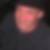 Photo de profil de Pascal Bertin