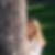Photo de profil de Morgane Mottin