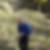 Photo de profil de Lucien Hoch