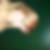 Photo de profil de Charlotte Gabreau