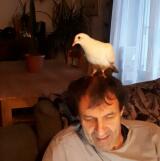 Photo de profil de Marc Bodivit