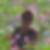 Photo de profil de Sylvie Borderie