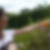 Photo de profil de Pascale Murtin