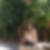 Photo de profil de Marie Alice Chiapello