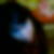 Photo de profil de Cynthia Mosdic