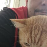 Photo de profil de Mickael Vincent