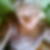 Photo de profil de Mathilde Miclo