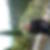 Photo de profil de Dorine Trenchant-Charnay