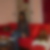 Photo de profil de Dominique Decave