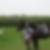 Photo de profil de Mathnico Haud
