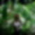 Photo de profil de Annabelle Faroux