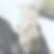 Photo de profil de Charlotte Dupont Allirol