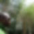 Photo de profil de Bamba Giscard
