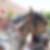 Photo de profil de Louis Orlando