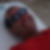 Photo de profil de Alain Magro