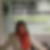 Photo de profil de Magaly Martin