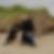 Photo de profil de Patrick Brazon