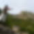 Photo de profil de Thierry Fischer