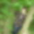 Photo de profil de Marie Laure Leplat