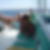 Photo de profil de Berangere Bonnet