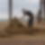 Photo de profil de Florent Larnaudie