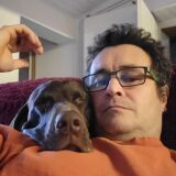 Photo de profil de Sebastien Boucher